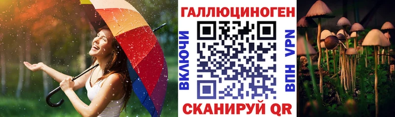 Галлюциногенные грибы прущие грибы  OMG ССЫЛКА  Янаул  купить наркотики сайты 