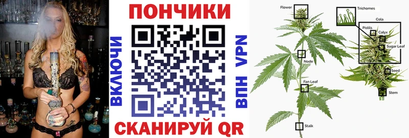 где найти   Янаул  mega   Бошки марихуана сатива 